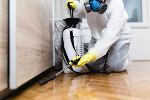 Best Emergency Pest Control  in Deforest, WI