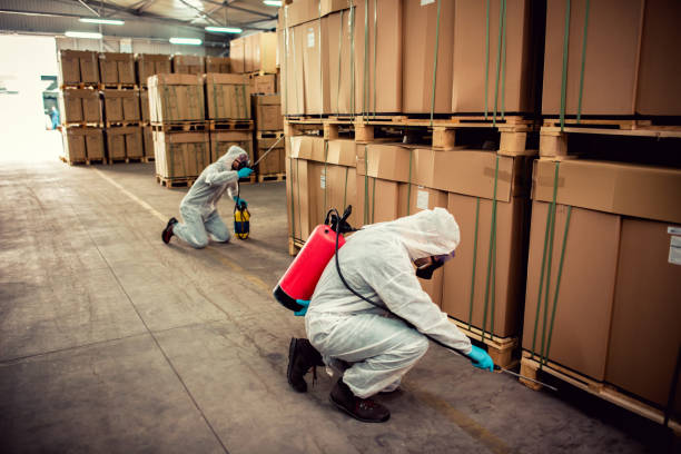 Best Affordable Pest Control Services  in Deforest, WI