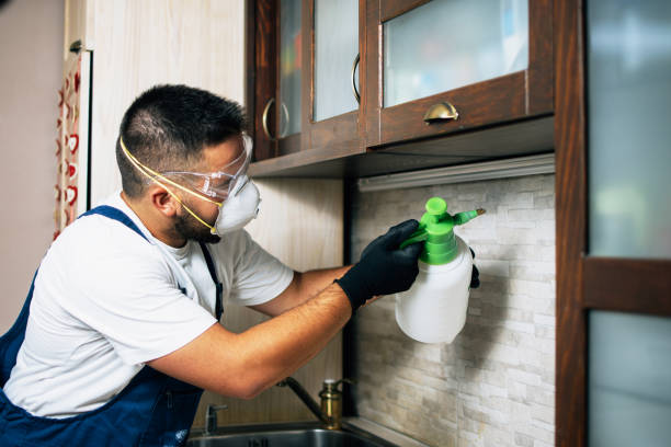 Best Pest Control Near Me  in Deforest, WI