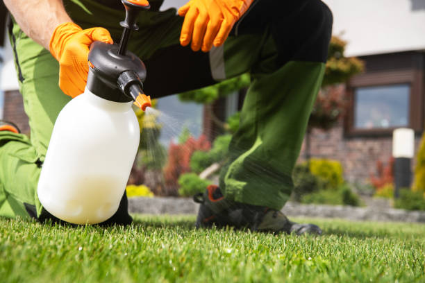 Best Residential Pest Control  in Deforest, WI