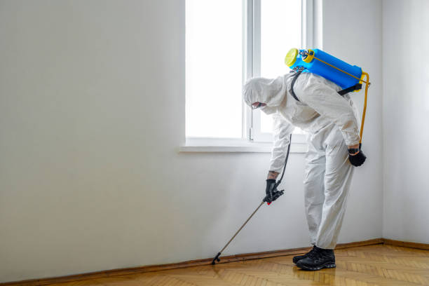 Best Best Pest Control Companies  in Deforest, WI
