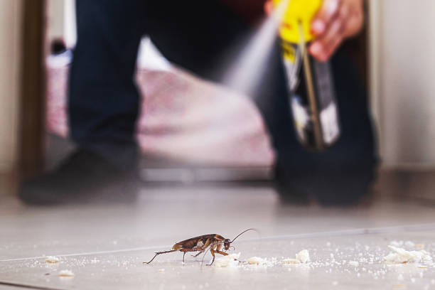 Best Wildlife Control Services  in Deforest, WI