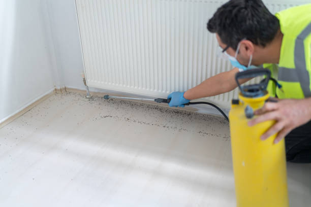 Best Commercial Pest Control Services  in Deforest, WI
