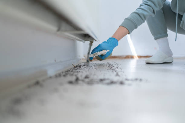 Best Termite Control Services  in Deforest, WI