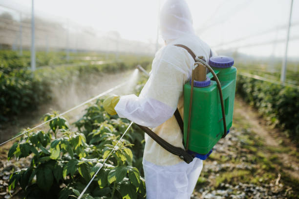 Best Ant Control Services  in Deforest, WI